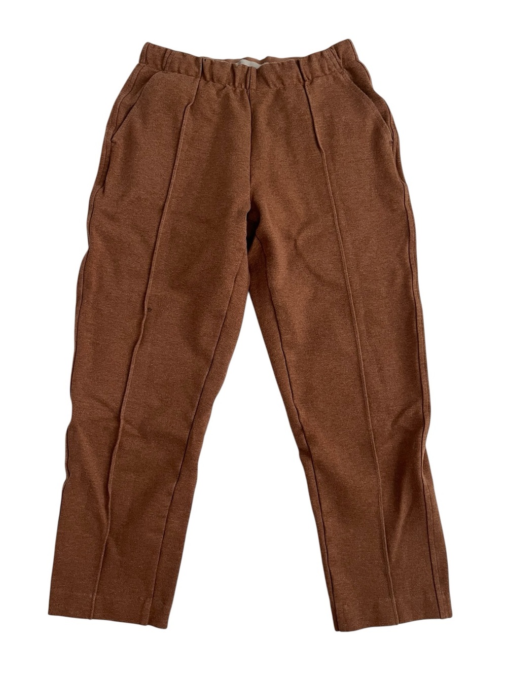 Everlane cotton stretchy dress pants